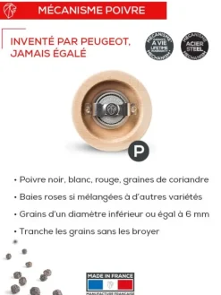 Peugeot Saveurs Bali fonte Moulin à poivre manuel en fonte rouge, 8 cm -><noscript><img width=