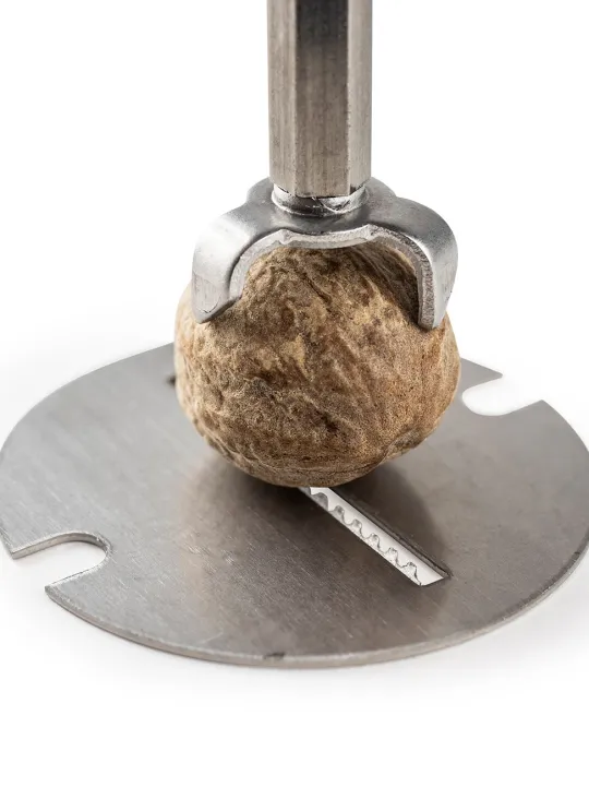 Peugeot Saveurs Daman Moulin à muscade manuel en inox et acryl 15 cm -> Envie De Design|Envie De Saveurs