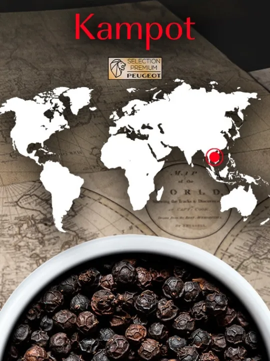 Peugeot Saveurs Kampot Poivre noir du cambodge, 60g - 3 sachets fraicheur de 20g -> Idées Cadeaux -50€|Envie De Saveurs