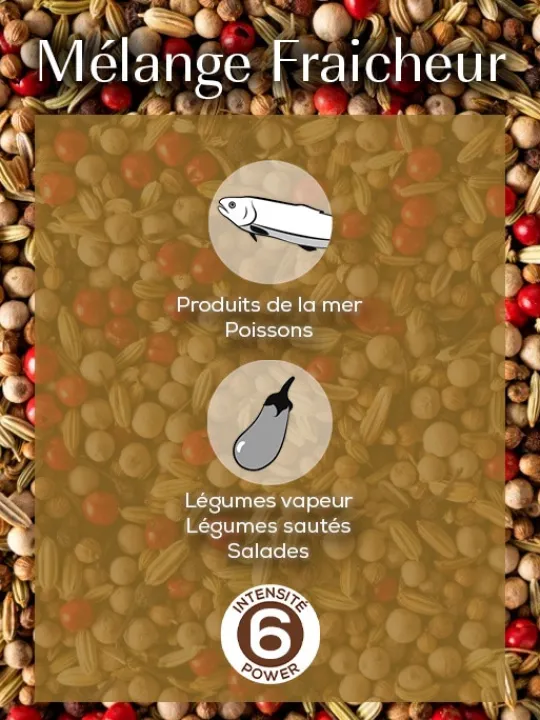 Peugeot Saveurs Mix fraîcheur Mélange de poivres pour poissons, 60g - 3 sachets fraicheur de 20g -> Envie De Saveurs|Idées Cadeaux -50€