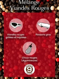 Peugeot Saveurs Mix viandes rouges Mélange de poivres pour viandes rouges, 60g - 3 sachets fraicheur de 20g -> Idées Cadeaux -50€|Envie De Saveurs