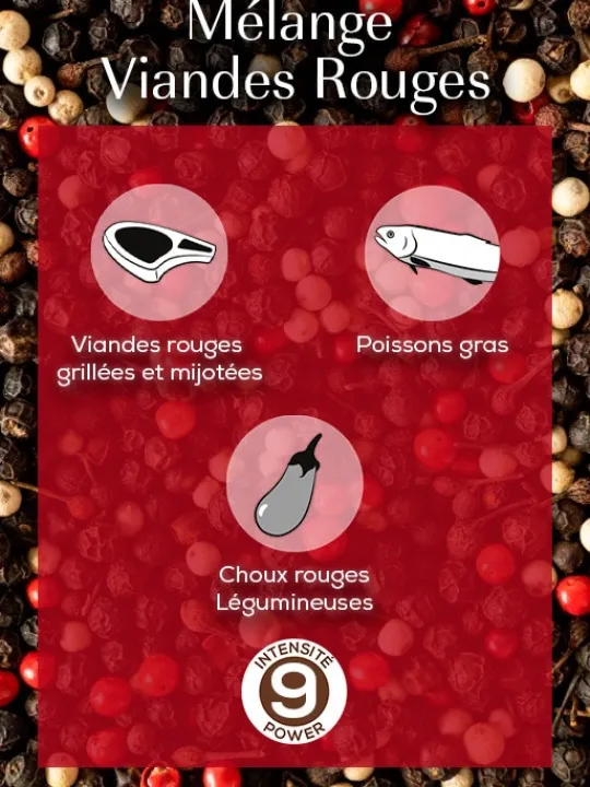 Peugeot Saveurs Mix viandes rouges Mélange de poivres pour viandes rouges, 60g - 3 sachets fraicheur de 20g -> Idées Cadeaux -50€|Envie De Saveurs