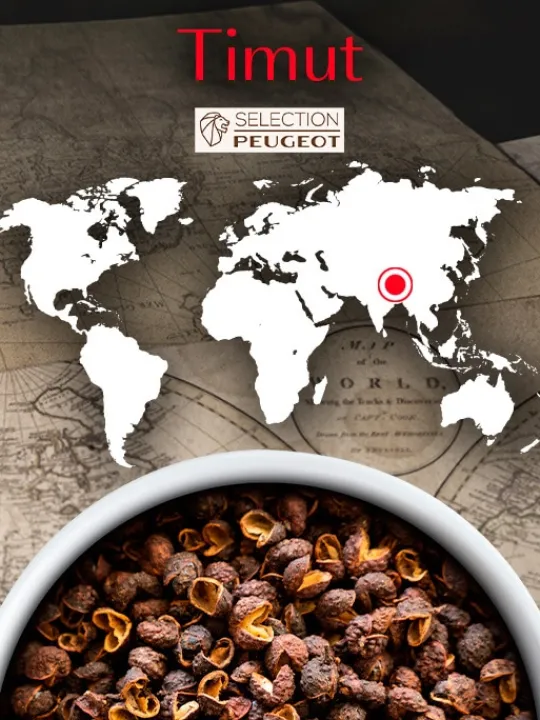 Peugeot Saveurs Multipack poivres standard Multipack poivres standard -> Epices Du Monde