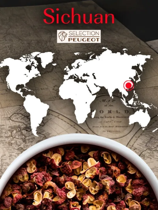 Peugeot Saveurs Multipack poivres standard Multipack poivres standard -> Epices Du Monde