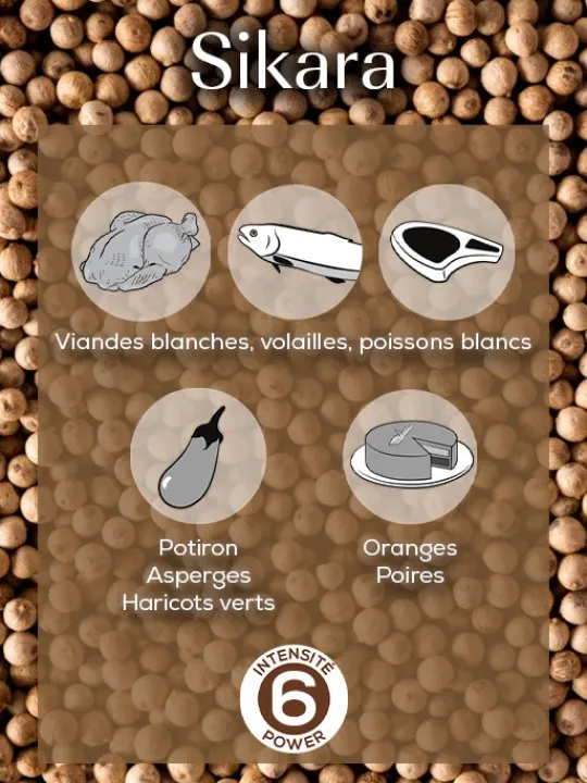 Peugeot Saveurs Sikara Poivre blanc de madagascar, 60g - 3 sachets fraicheur de 20g -> Idées Cadeaux -50€|Envie De Saveurs